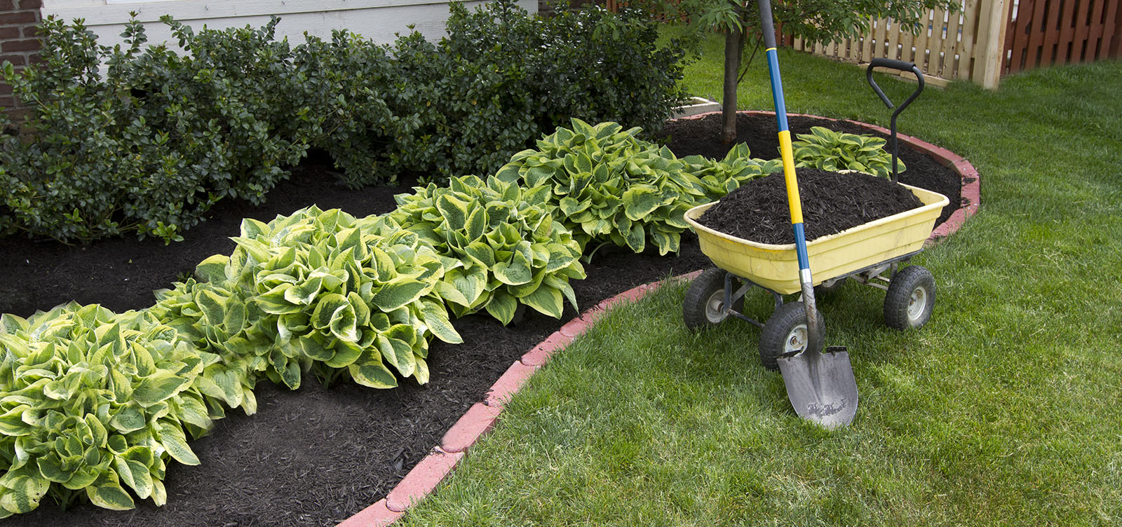 We Have Everything Your House and Garden Need
