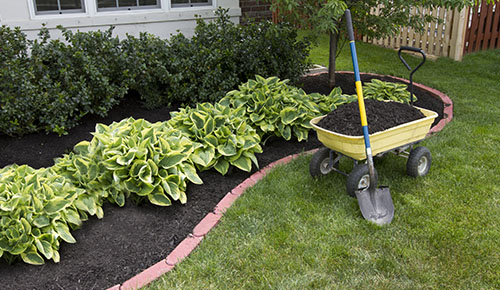 We Have Everything Your House and Garden Need